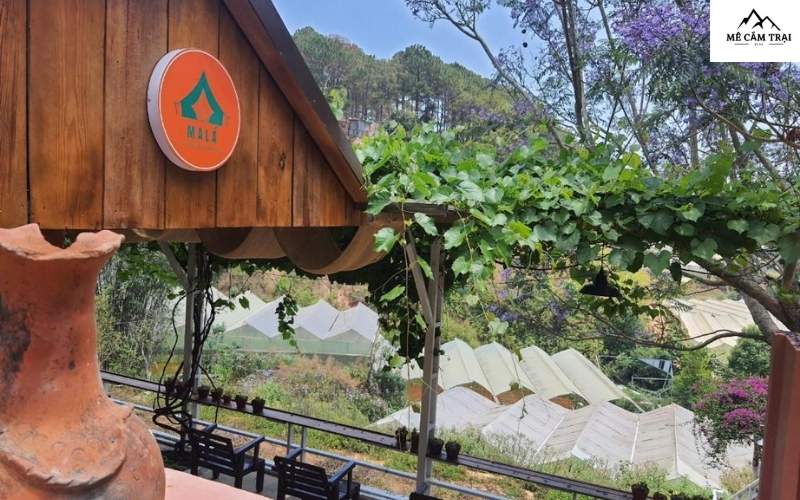 MaLá Coffee & Glamping – Điểm dừng chân lý tưởng cho hành trình khám phá của bạn!