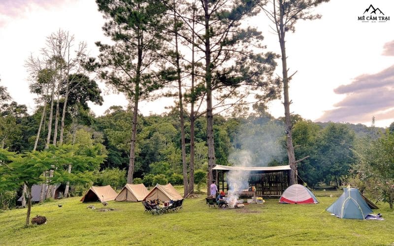 Camping Đà Lạt cho thuê lều cắm trại tại Đà Lạt