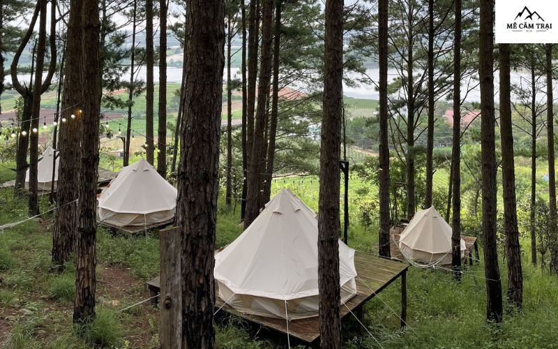 Vietgangz Glamping Club Lamdong là điểm đến lý tưởng cho những ai muốn hòa mình vào thiên nhiên mà không cần đi quá xa