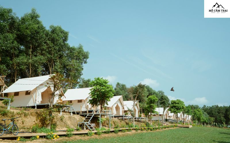 Giới thiệu về Bana Rita Farm Glamping