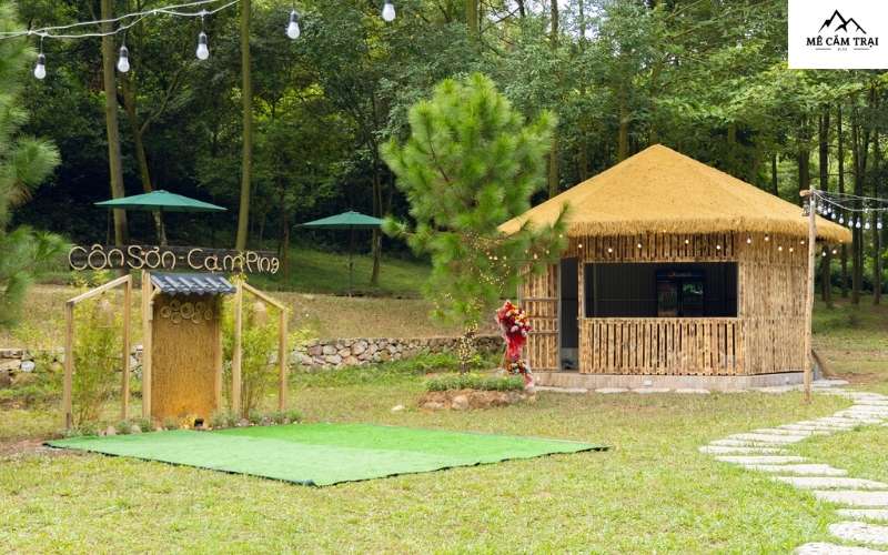 Côn Sơn Camping – Hòa mình vào thiên nhiên, tận hưởng chuyến cắm trại ý nghĩa