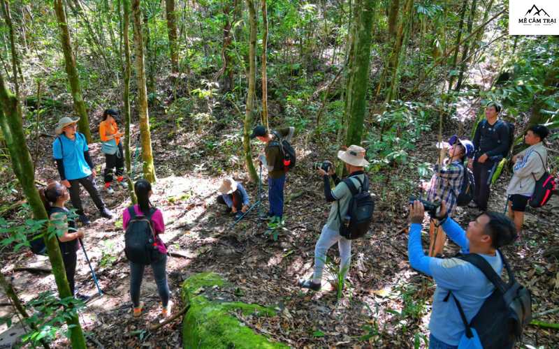 Một số kinh nghiệm thực tế cho người mới tham gia go trekking