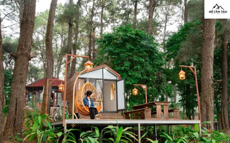 Thông tin tổng quan về địa điểm cắm trại Green Pine Camp