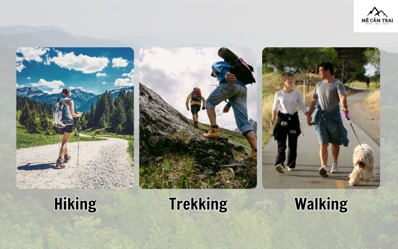 Hiking, trekking và walking khác nhau như thế nào?