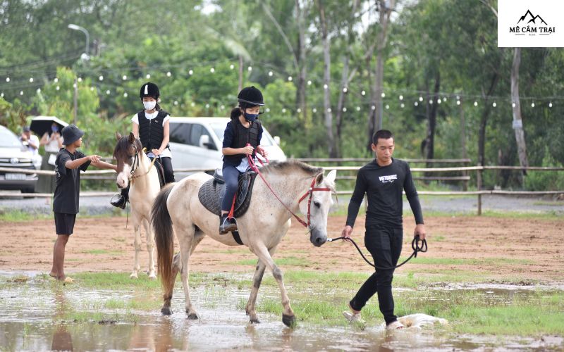 Vietgangz Horse Club & Glamping