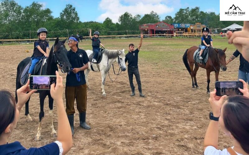 Trải nghiệm cưỡi ngựa tại Vietgangz Horse Club & Glamping