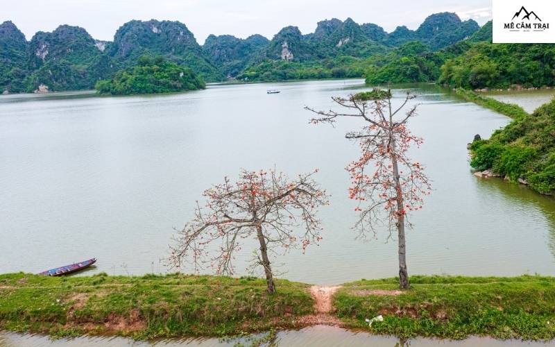 Cùng nhau dựng lều, nướng cá, ngắm sen – Cắm trại và câu cá tại hồ Quan Sơn cho trải nghiệm đáng nhớ! 