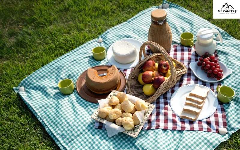 Picnic là gì? Bí kíp chuẩn bị chuyến đi vui vẻ và tiết kiệm!