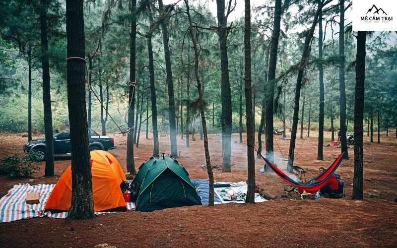 Thư giãn giữa đồi thông bạt ngàn – My Camping Sóc Sơn chờ bạn khám phá