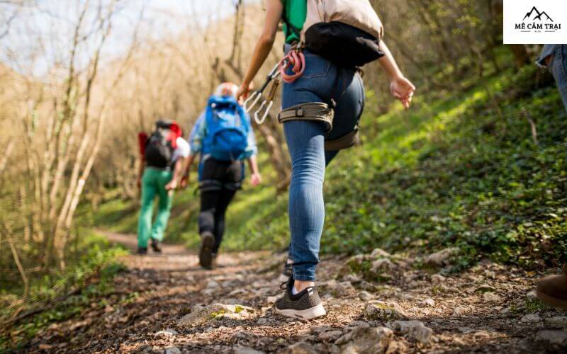 Mọi người thường có sự nhầm lẫn giữa Trekking và Hiking